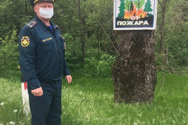 Через какой браузер заходить на кракен